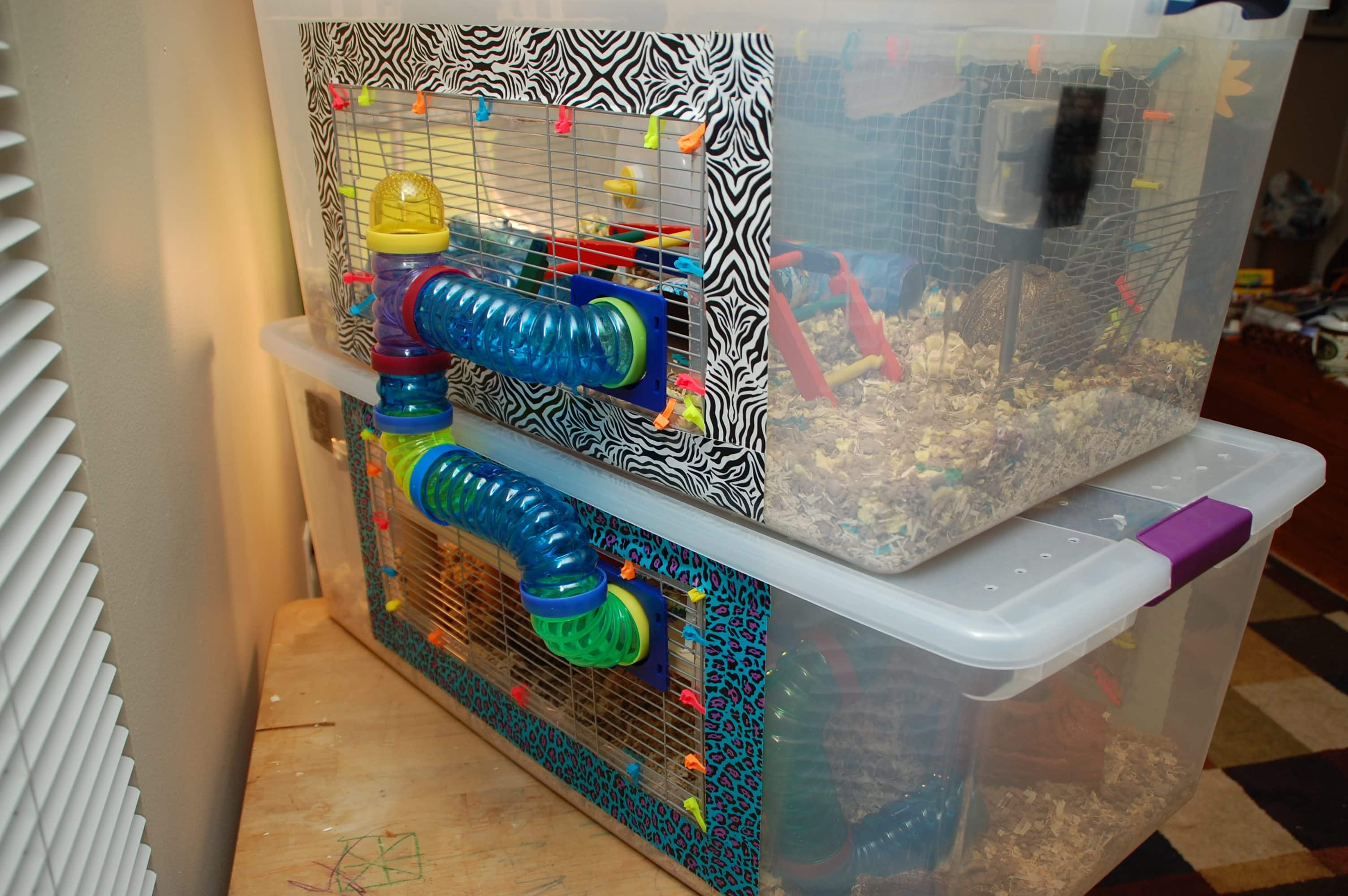 Diy Hamster Bin Cages You Can Build Today Pet Keen