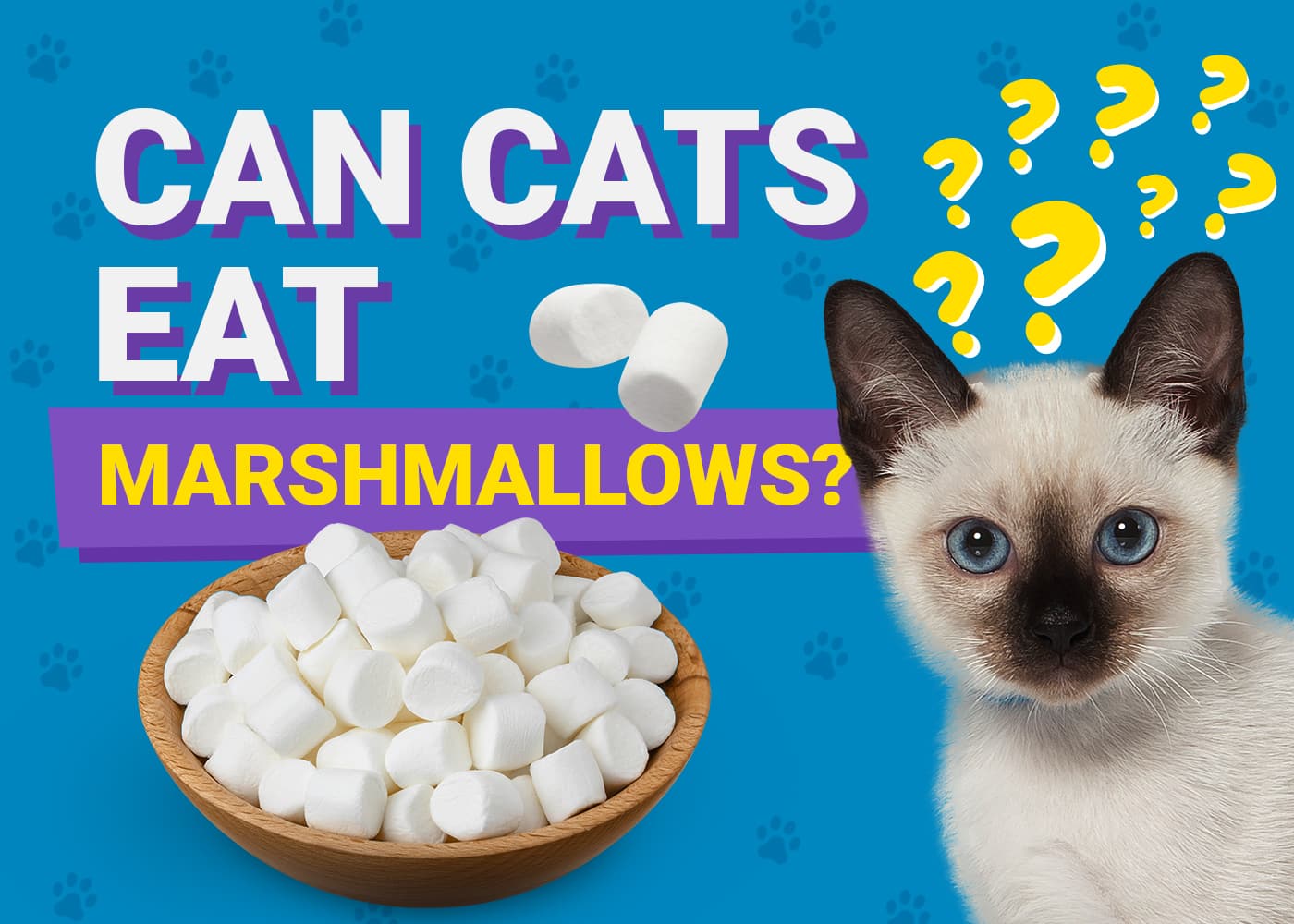 Can Cats Eat Marshmallows Vet Reviewed Nutrition Facts Pet Keen