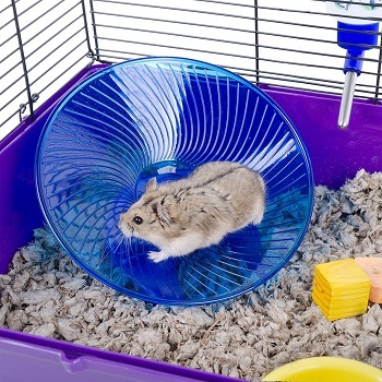A Hamster Wheel
