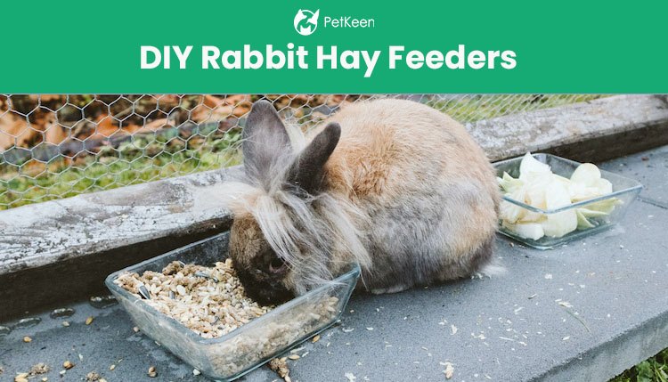 diy rabbit hay feeder