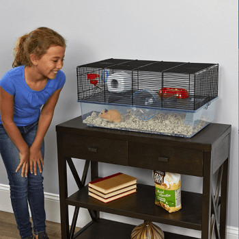 girl with hamster cage