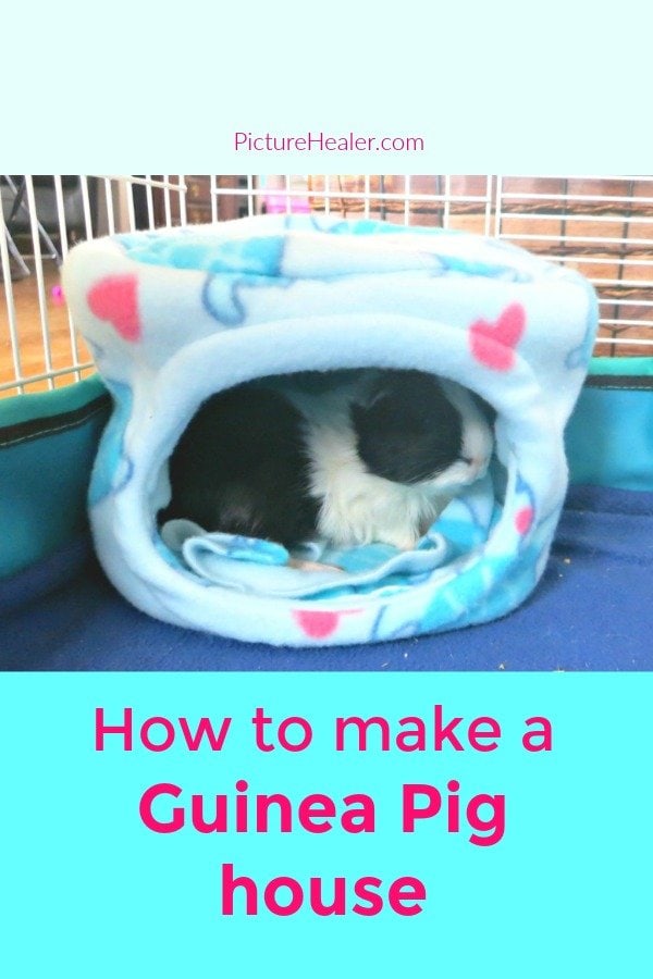 guinea pig hidey house