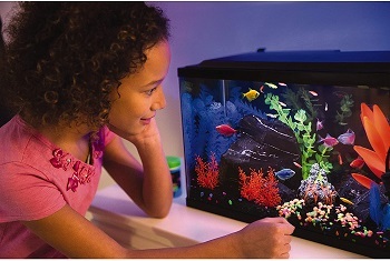 Child Looking at Aquarium