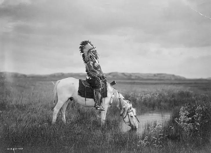 historical-horse-with-native-american_pi