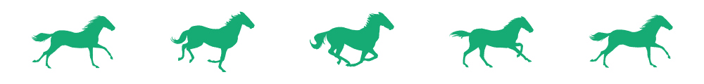 divider-horse