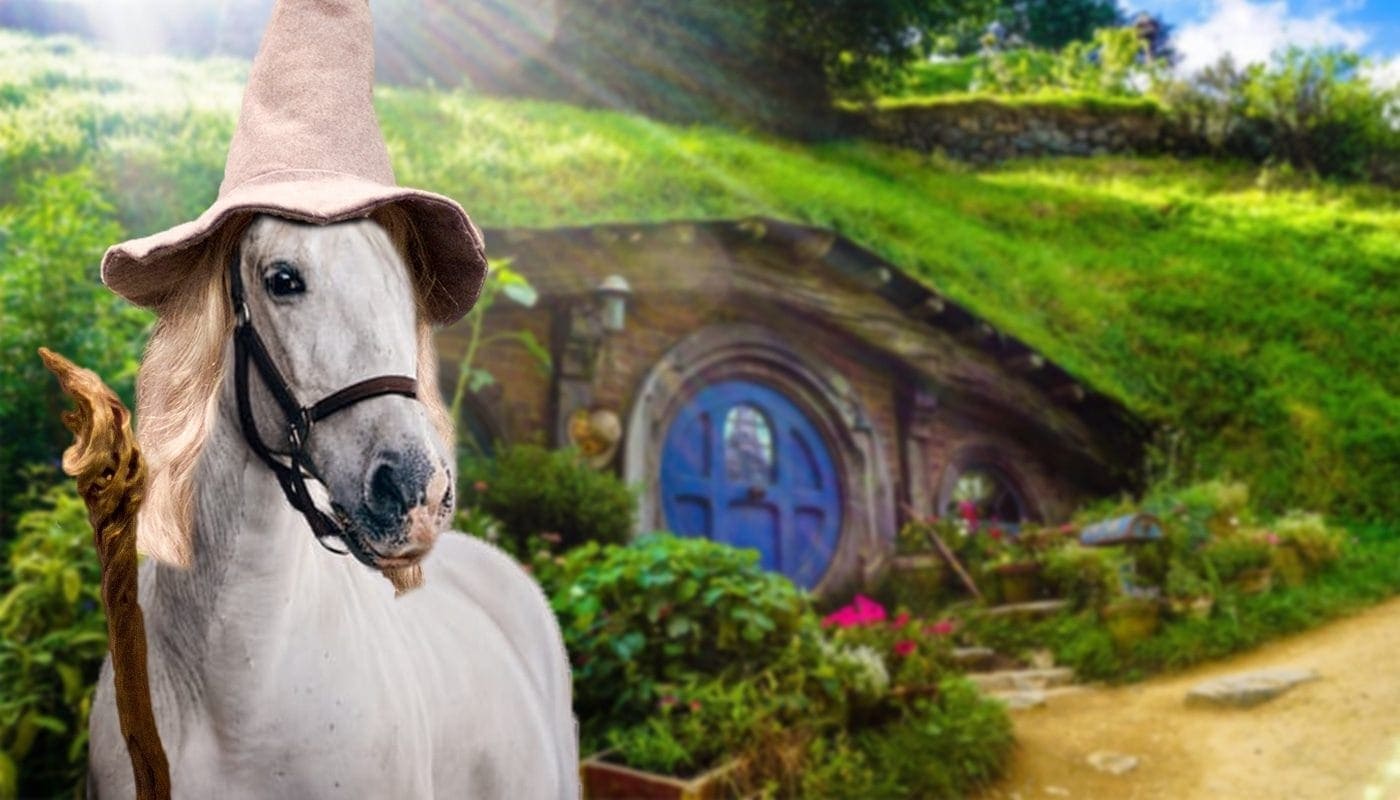 100+ Lord of the Rings Inspired Horse Names: Ideas for Warrior & Brave