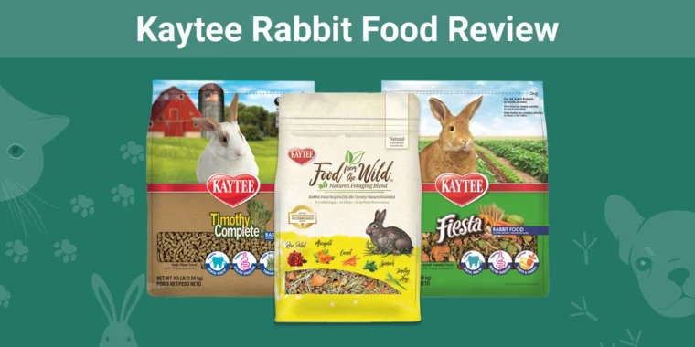Kaytee Rabbit Food - Featured Image