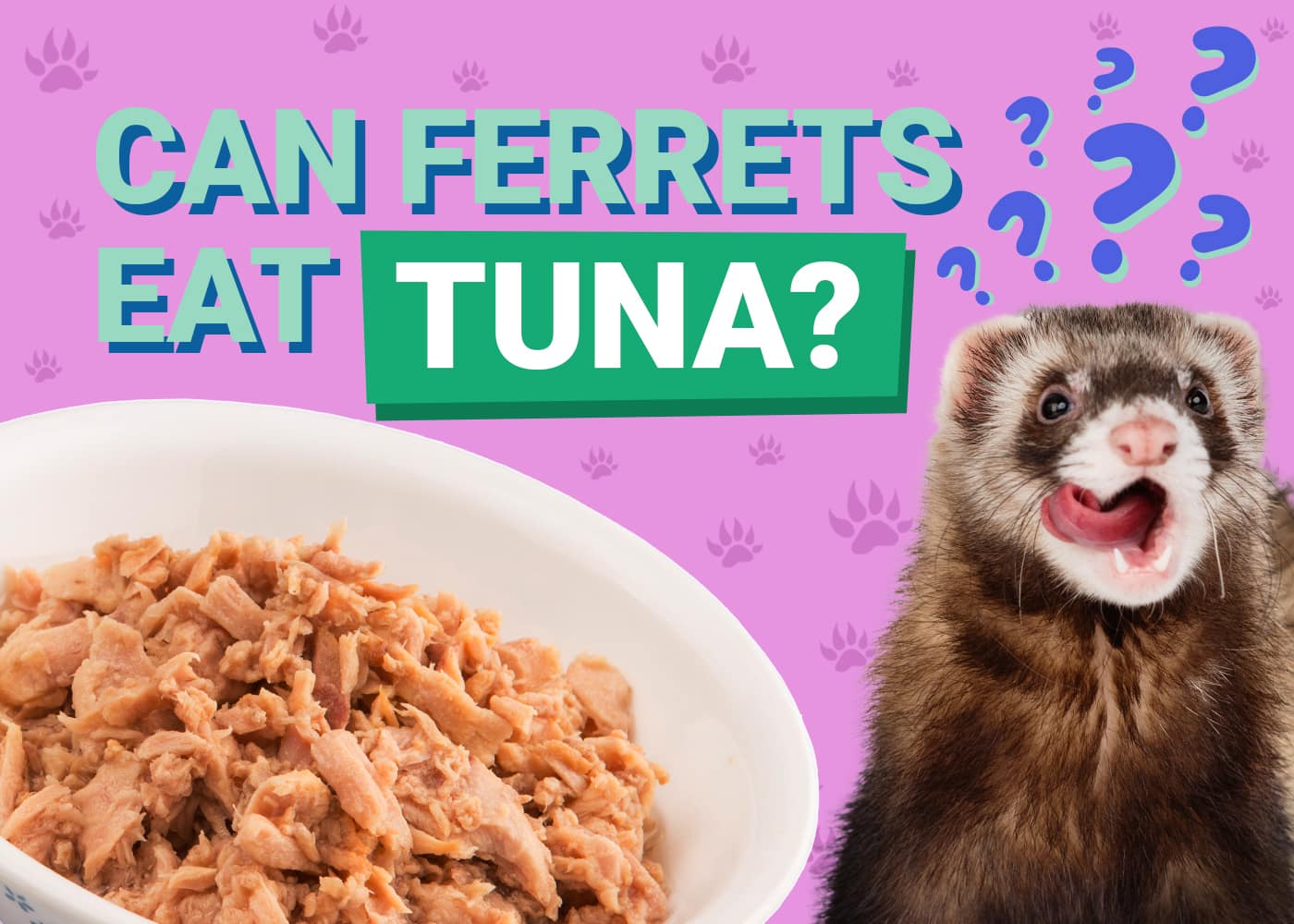 can ferrets have dog food