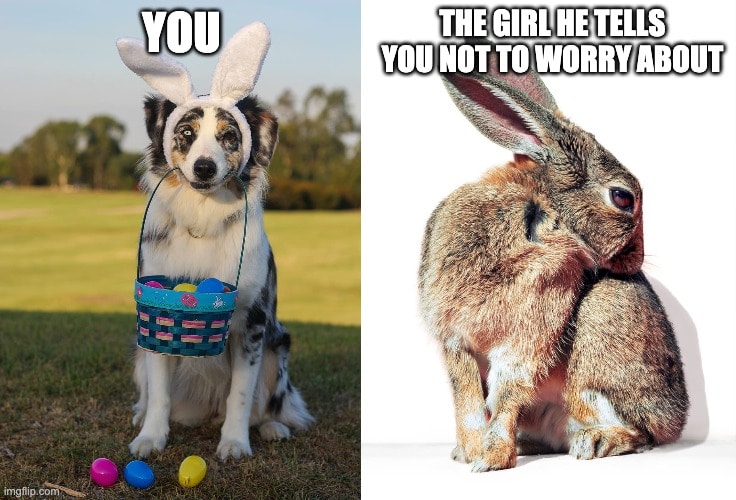 10 Funny Rabbit Memes Guaranteed to Make You Laugh | Pet Keen