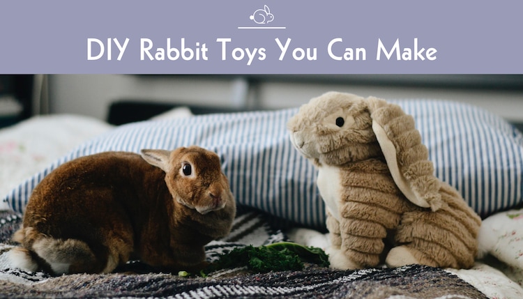 rabbit diy toys