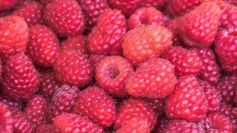 raspberries-pixabay