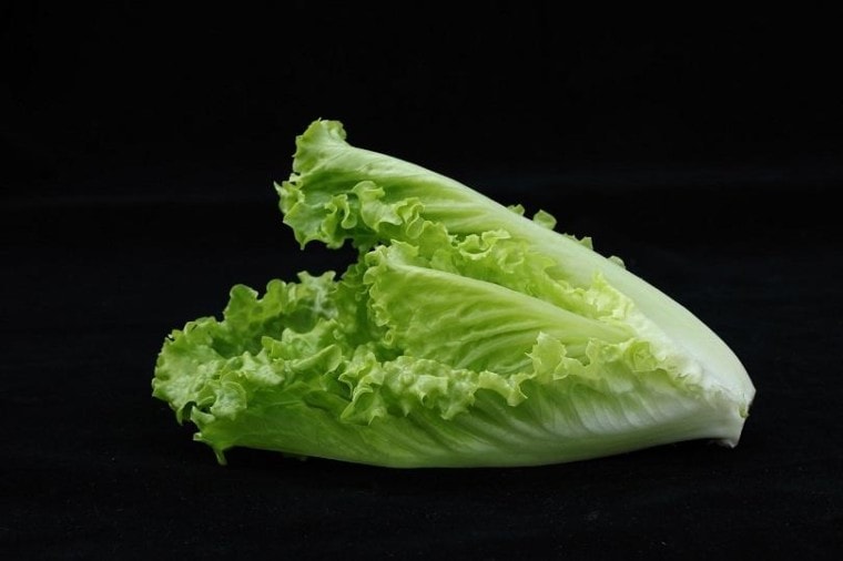 romaine lettuce-pixabay