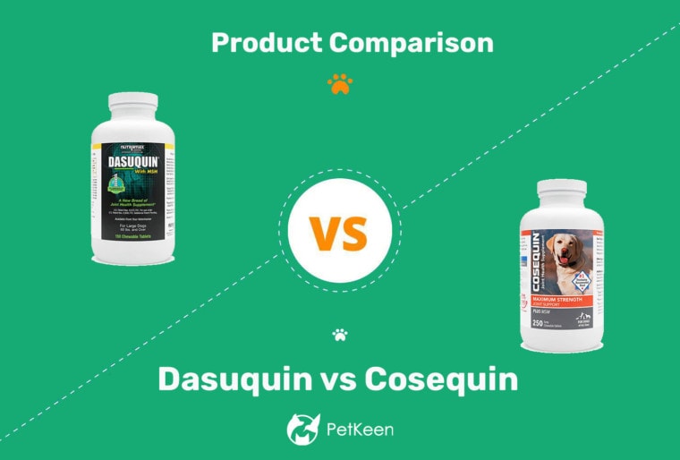 Dasuquin vs Cosequin header image 2