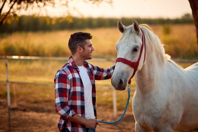 Young smiling man and horse