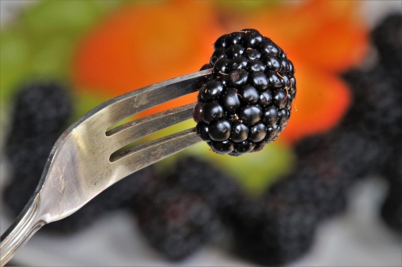blackberries-pixabay