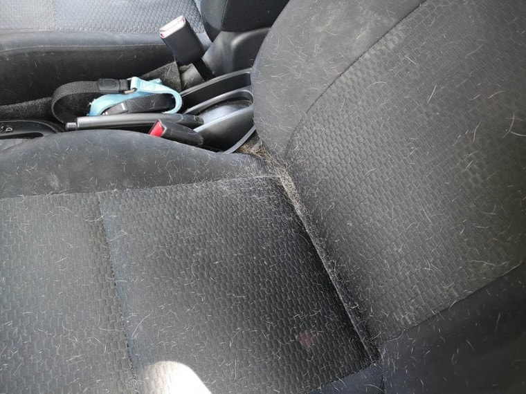 car seat filled with dog hair