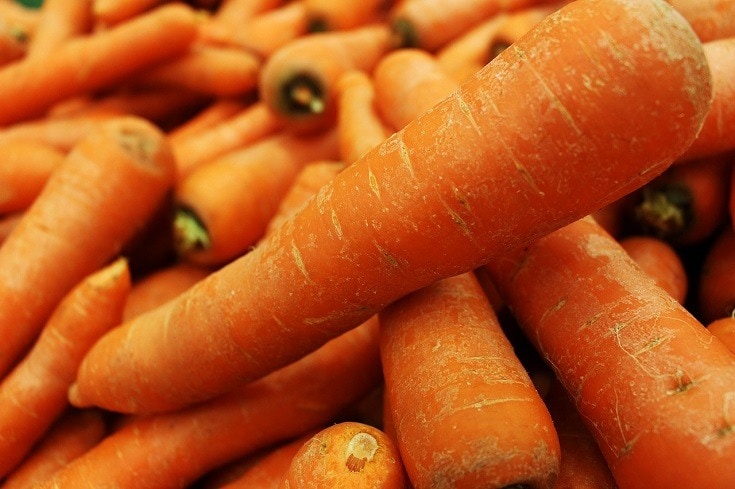 carrot close up