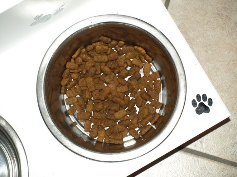 dog food bowl-pixabay
