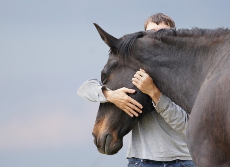 man hugging a horse