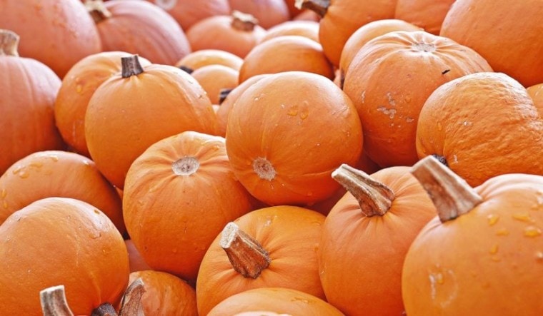 pumpkins_Pixabay