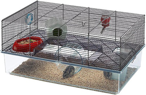 New mouse cages, Our new mouse cage setup, as viewed from t…, Radagast