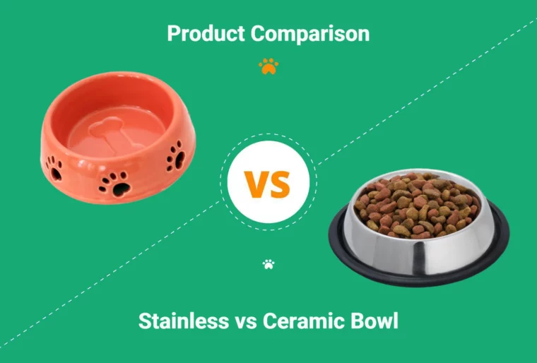 Stainless Steel vs Ceramic Dog Bowl - Featured Image