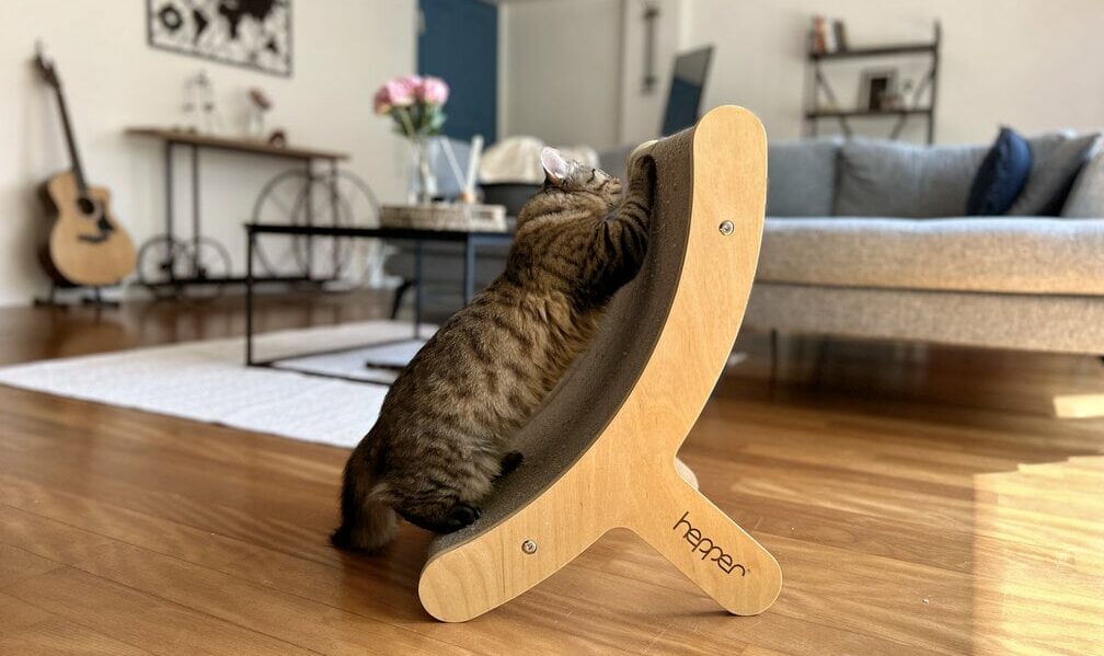 cat fully outstretched using Hepper Hi-Lo Cat Scratcher