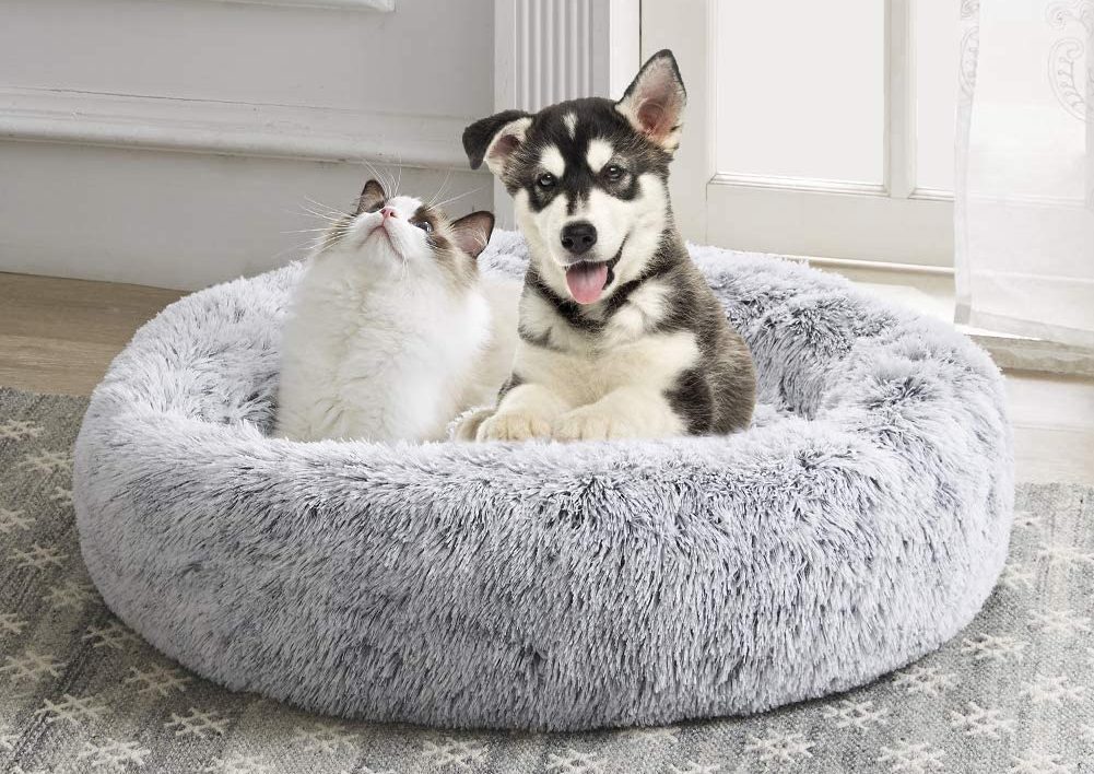 perro y gato en SAVFOX Long Plush Comfy Calming & Self-Warming Bed