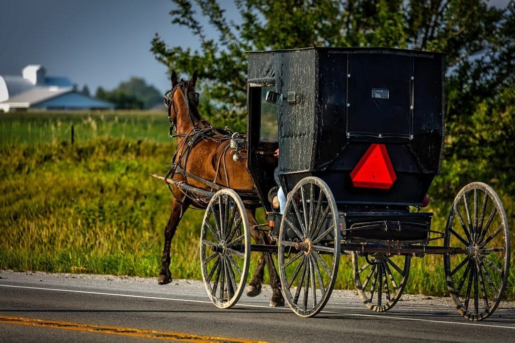 horse and a carriage in Iowa