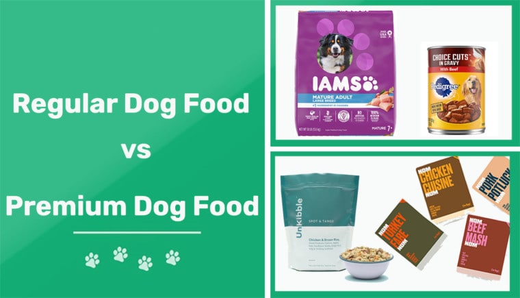 regular vs premium dog food header