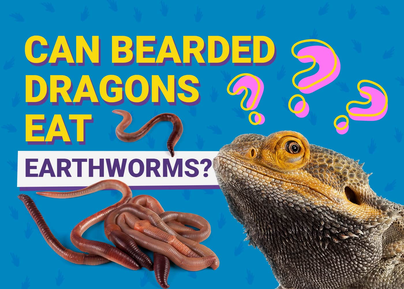 what eats a bearded dragon