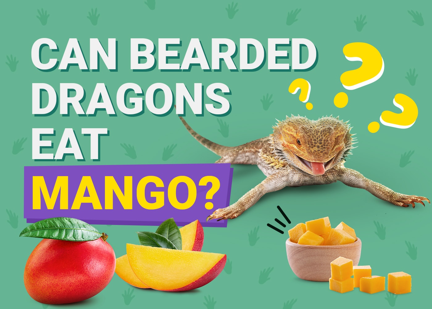 Can Bearded Dragons Eat Mango Skin?
