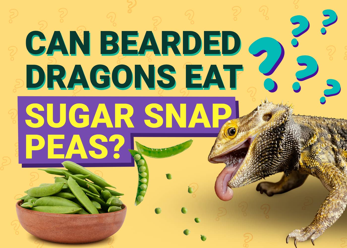 Can Bearded Dragons Eat Sugar Snap Peas?