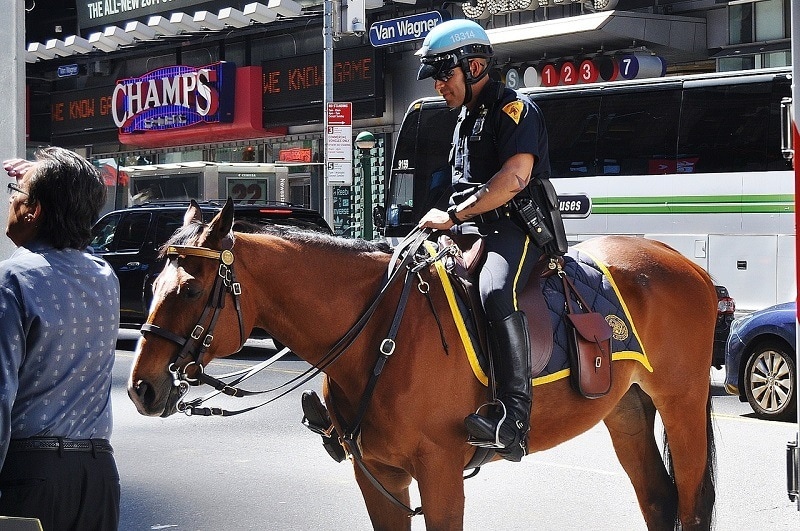 Police officer on a horse