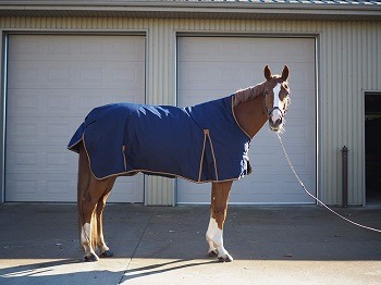 SteedBox Horse Winter Turnout Blanket feat