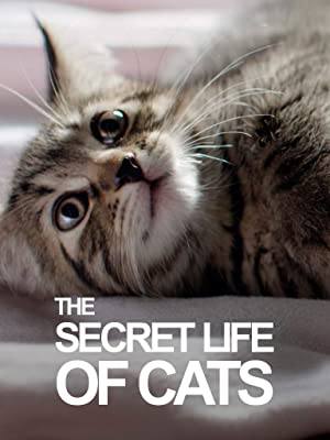 The Secret Life of Cats - B07S4F8KTT