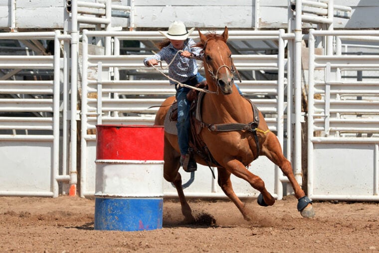 young cowgirl riding a horse around a barrel in a rodeo