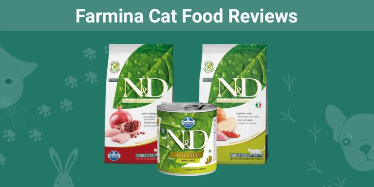 Farmina Cat Food - Featured Image