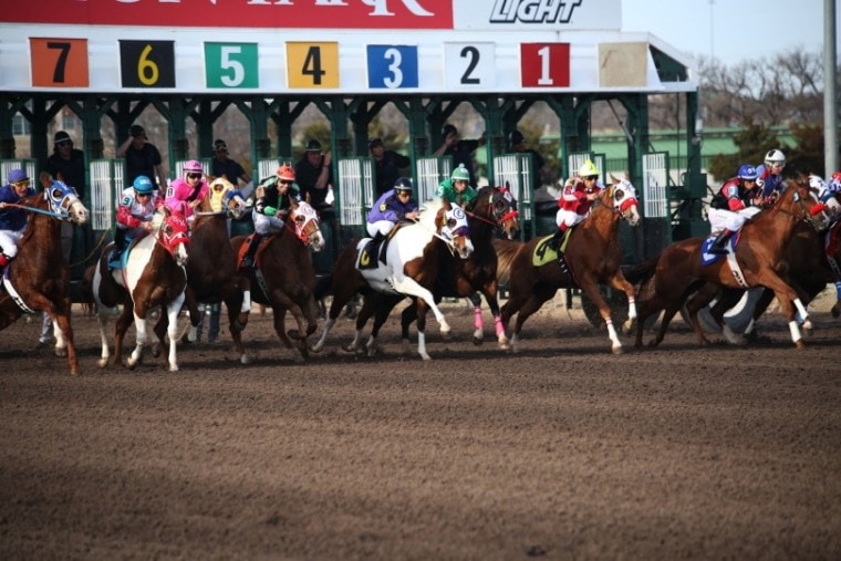 Horse race_Yenni Vance_Pixabay