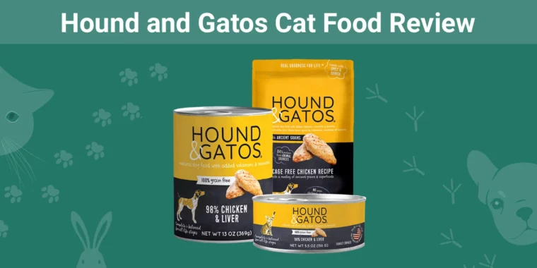 Hound and Gatos Cat Food - Featured Image