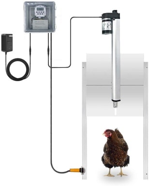 JVR Automatic Chicken Door Coop_Amazon