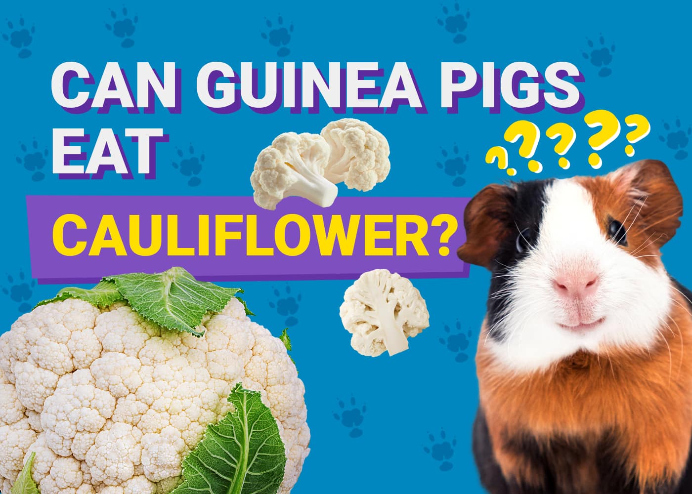 Can Guinea Pigs Eat Cauliflower? Discover the Surprising Facts!