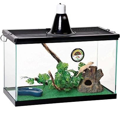Zilla Tropical Reptile Terrarium Starter Kit with Light and Heat
