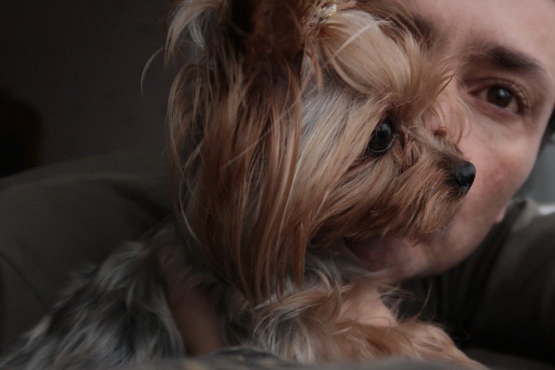 a middle age woman hugging a yorkie