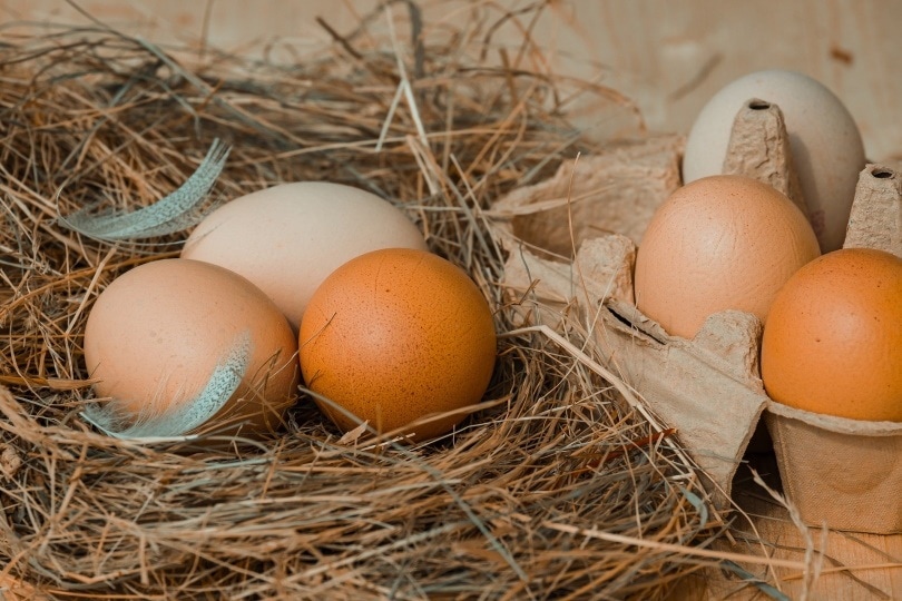 मुर्गी के अंडे