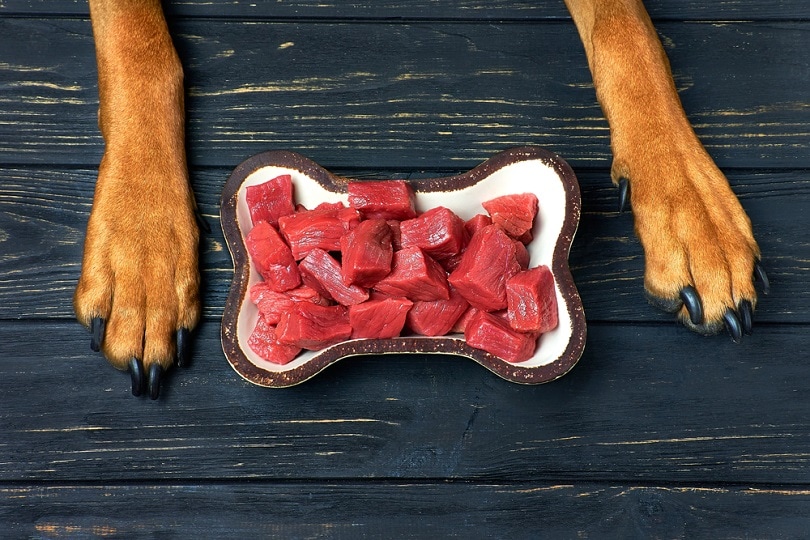 fresh raw meat for dog