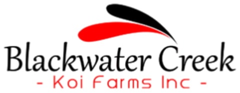 Blackwater Creek Logo