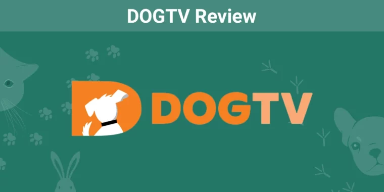 DOGTV - Featured Image