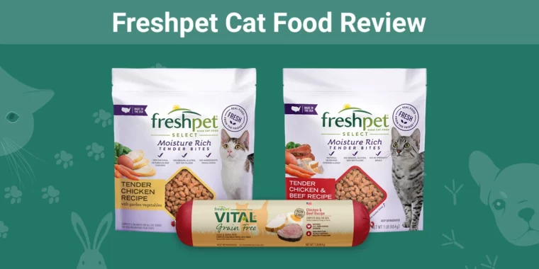 Freshpet Cat Food - Featured Image