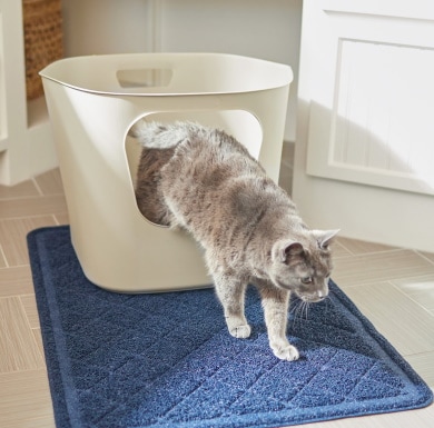 Frisco Leaf High-Sided Cat Litter Box_Chewy